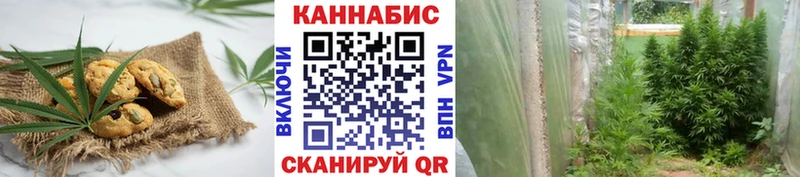 Canna-Cookies конопля Нижний Ломов