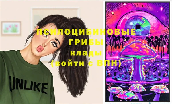 гашик Алексеевка