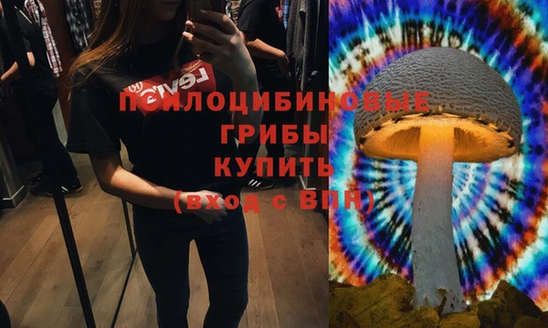 метамфетамин Алексин